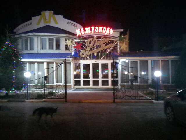 Гостиница Метрополь Ростов-на-Дону-53